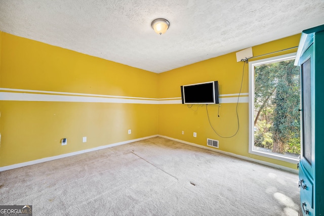 spare room with plenty of natural light, carpet, and a textured ceiling