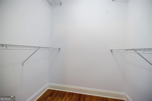 spacious closet featuring hardwood / wood-style floors