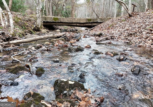 view of local wilderness