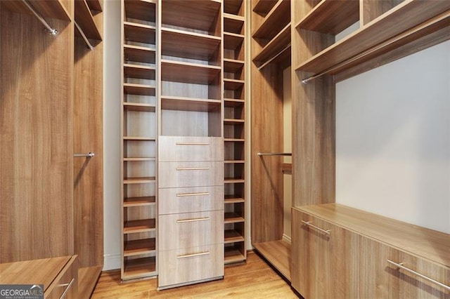 walk in closet featuring light hardwood / wood-style flooring