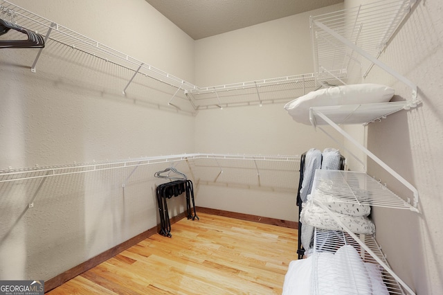 spacious closet with hardwood / wood-style flooring