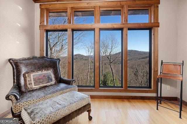 living area featuring a mountain view and light wood-type flooring