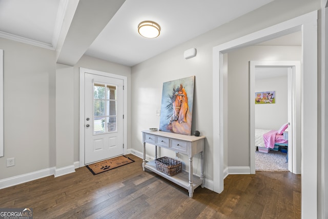 foyer entrance with dark hardwood / wood-style flooring