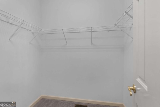 walk in closet featuring carpet