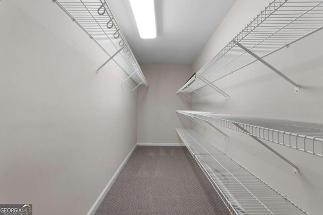 spacious closet with carpet