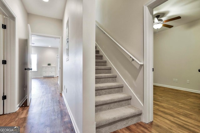 stairs featuring hardwood / wood-style flooring and ceiling fan