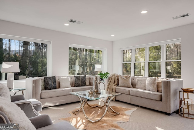 view of carpeted living room