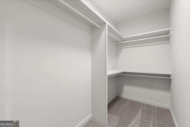 walk in closet featuring carpet flooring