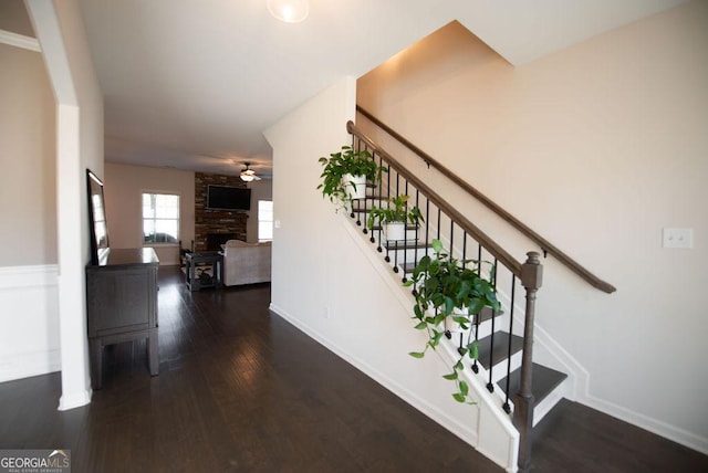 staircase with a stone fireplace, ceiling fan, and hardwood / wood-style flooring