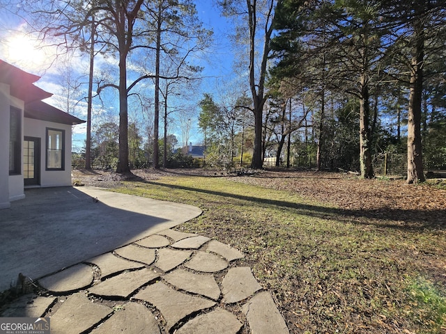 view of yard featuring a patio area