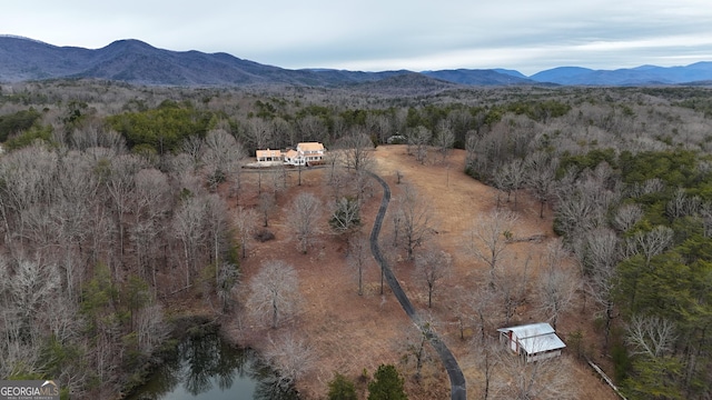 birds eye view of property featuring a mountain view