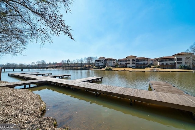 dock area with a water view