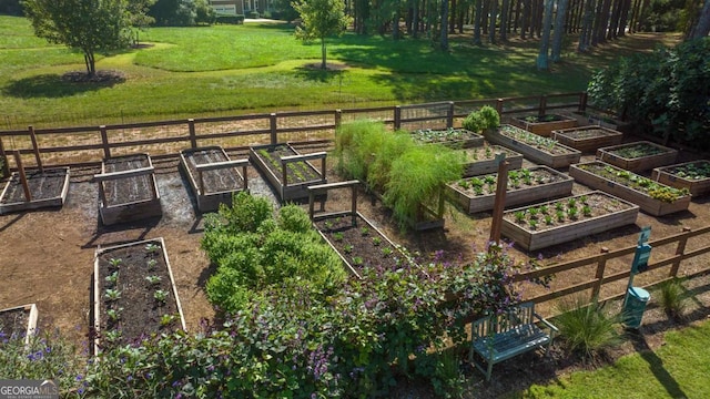 view of yard with a vegetable garden
