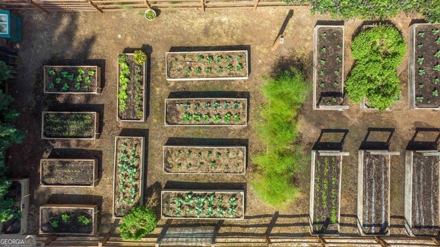 bird's eye view
