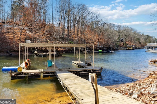 dock area featuring a water view