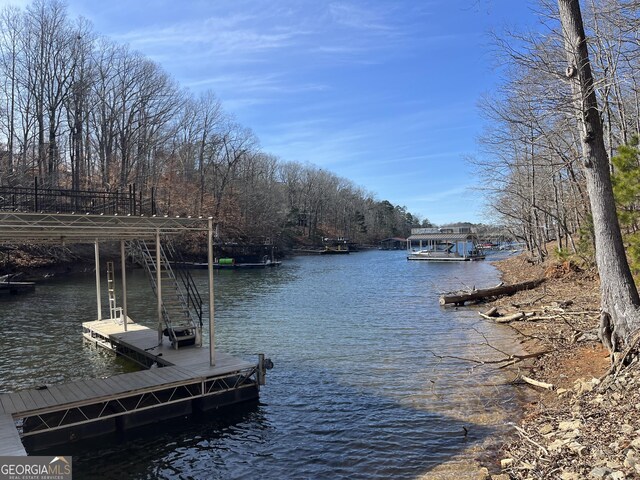 dock area with a water view