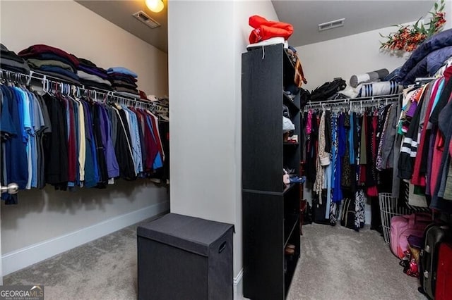 spacious closet featuring carpet floors