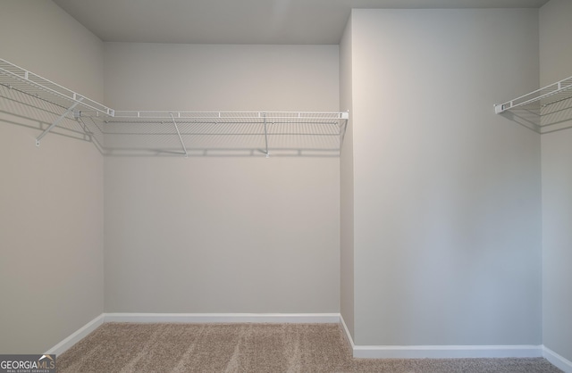 spacious closet featuring carpet flooring