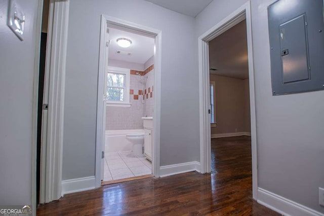 hall with electric panel and dark hardwood / wood-style floors