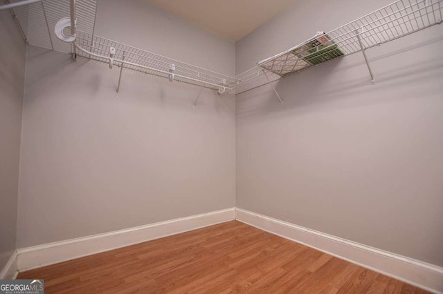 walk in closet featuring wood-type flooring