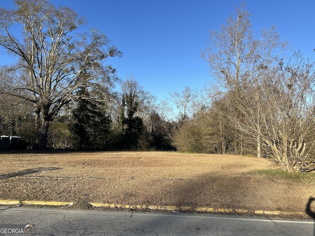 245/255 Gordon St, Elberton GA, 30635 land for sale