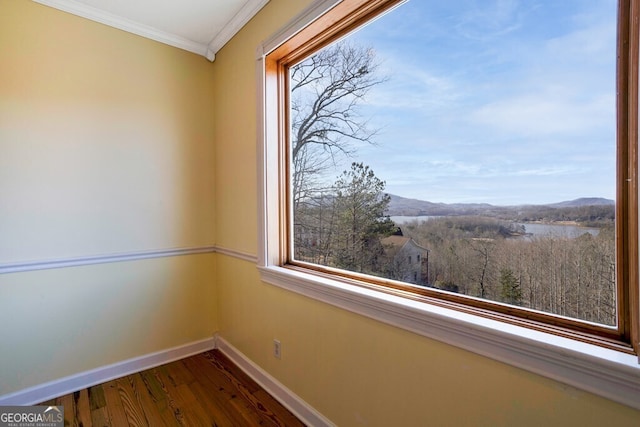 interior space with a mountain view, ornamental molding, and hardwood / wood-style flooring