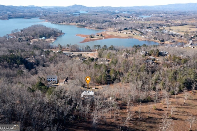 drone / aerial view with a water and mountain view