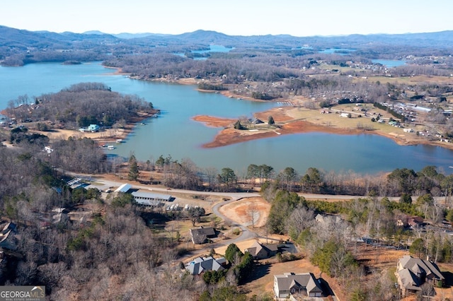 birds eye view of property featuring a water and mountain view