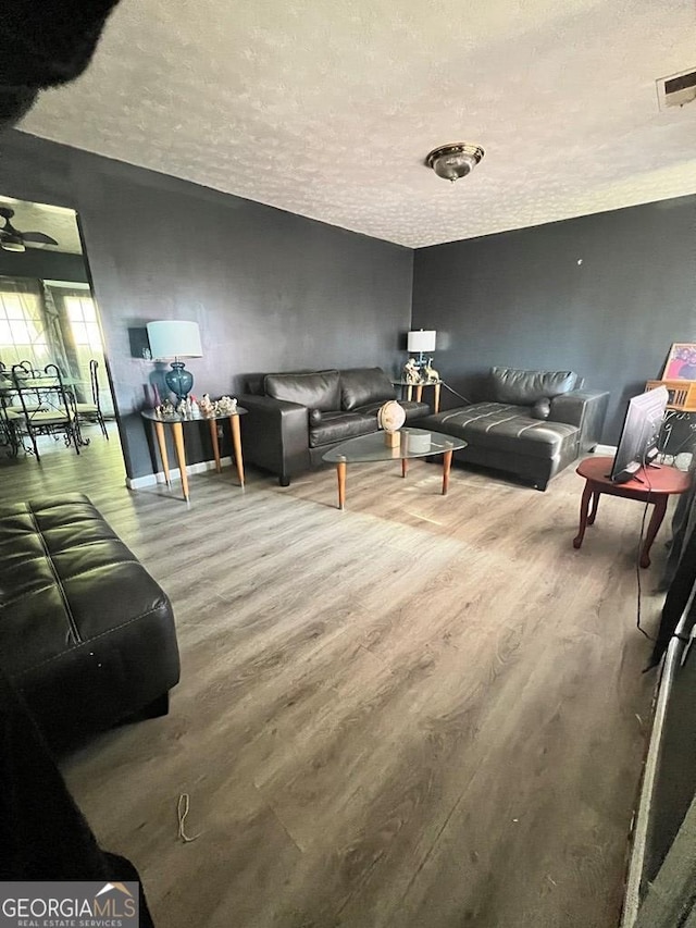 living room with a textured ceiling and hardwood / wood-style flooring