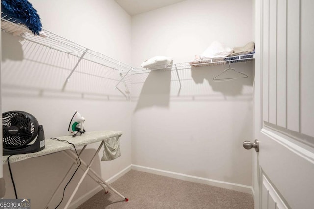 spacious closet with carpet flooring