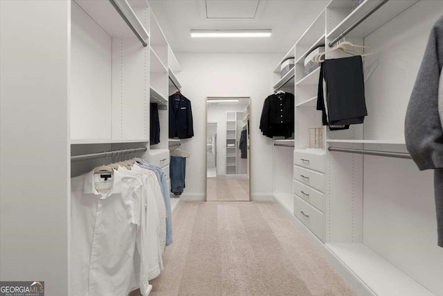 view of walk in closet