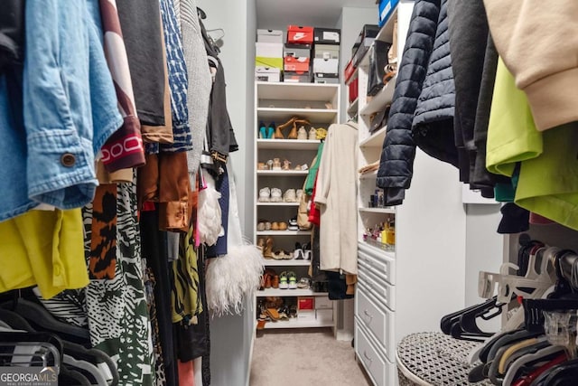 walk in closet with light colored carpet