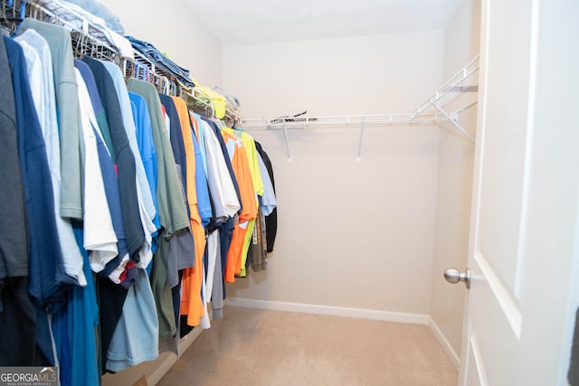spacious closet featuring carpet