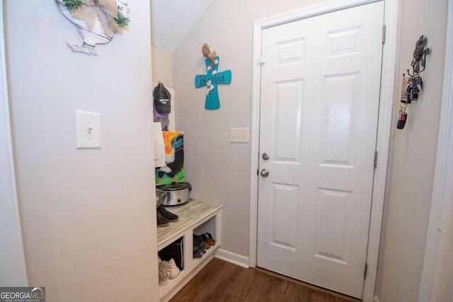 mudroom featuring dark hardwood / wood-style flooring