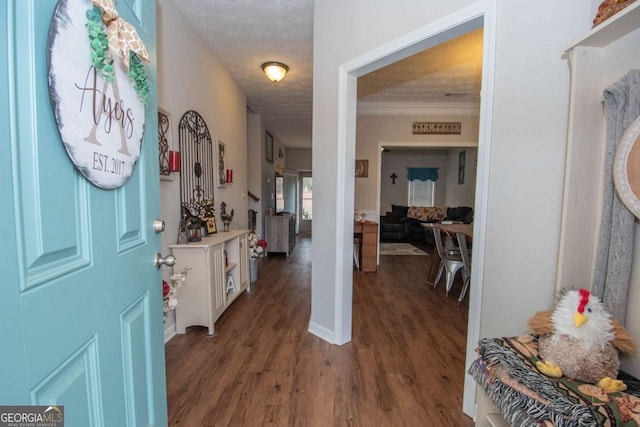 entryway featuring dark hardwood / wood-style flooring, a textured ceiling, and ornamental molding