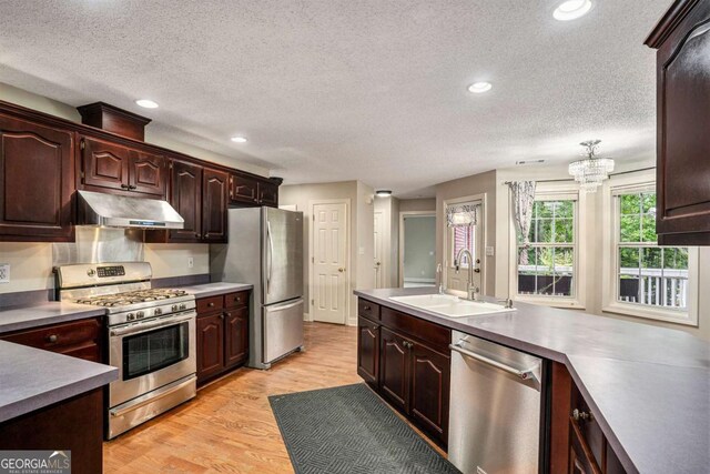 kitchen with sink, stainless steel appliances, light hardwood / wood-style flooring, a notable chandelier, and dark brown cabinets