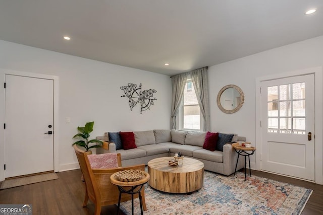 living room with dark wood-type flooring