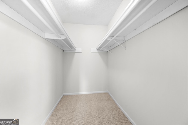 walk in closet featuring light colored carpet