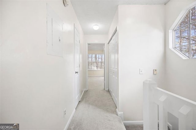 corridor with electric panel and light colored carpet