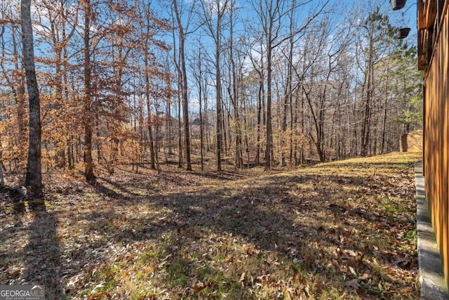 view of local wilderness