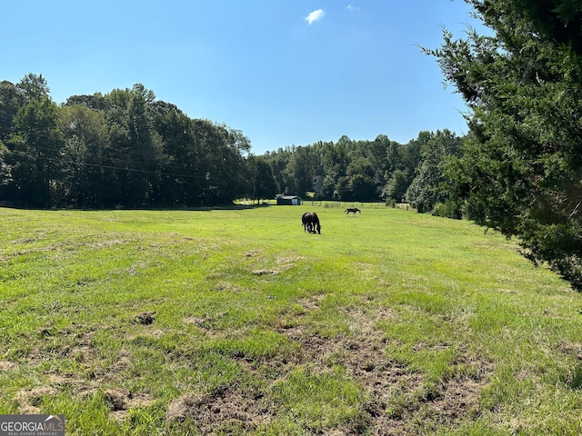 view of yard featuring a rural view