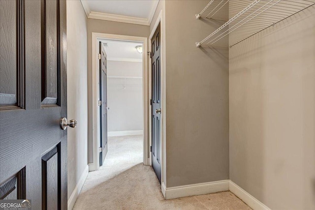 walk in closet featuring light colored carpet