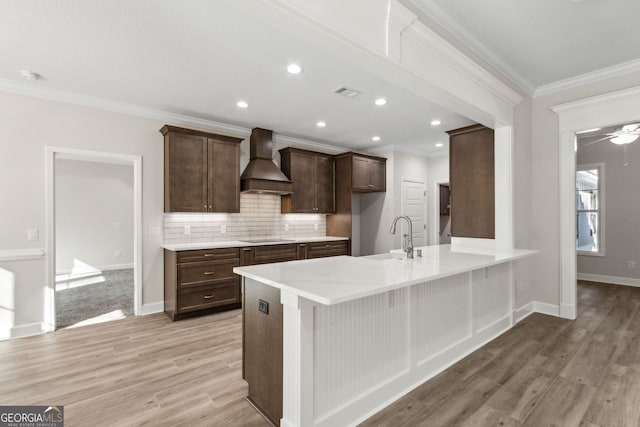 kitchen with light wood finished floors, a sink, dark brown cabinetry, custom range hood, and backsplash