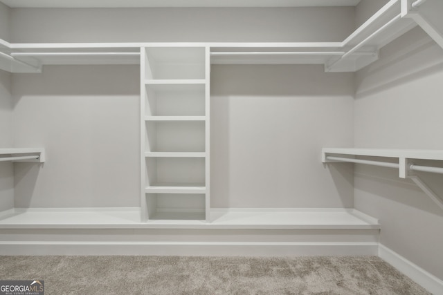 spacious closet featuring carpet floors