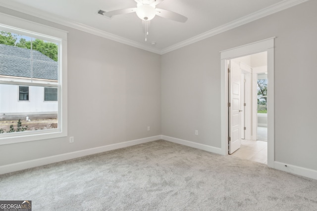 empty room featuring ceiling fan, ornamental molding, and light carpet