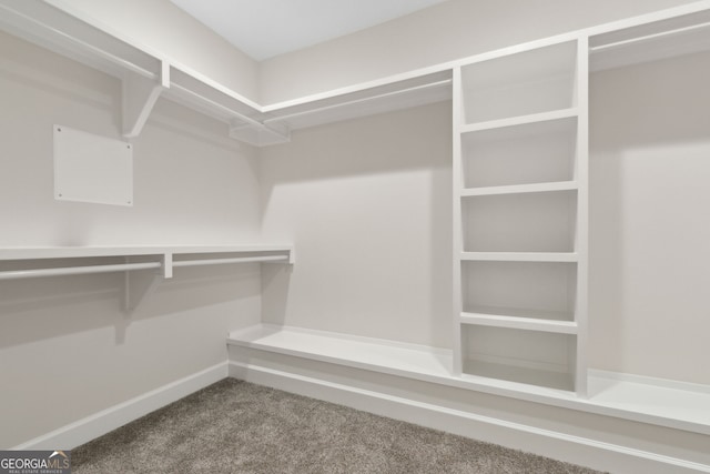 walk in closet with carpet flooring