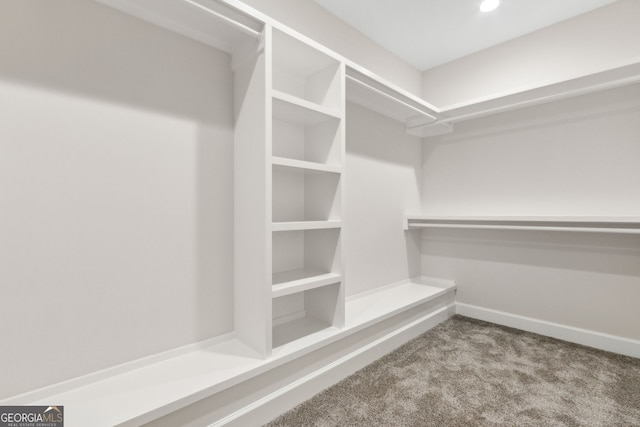 walk in closet featuring carpet floors