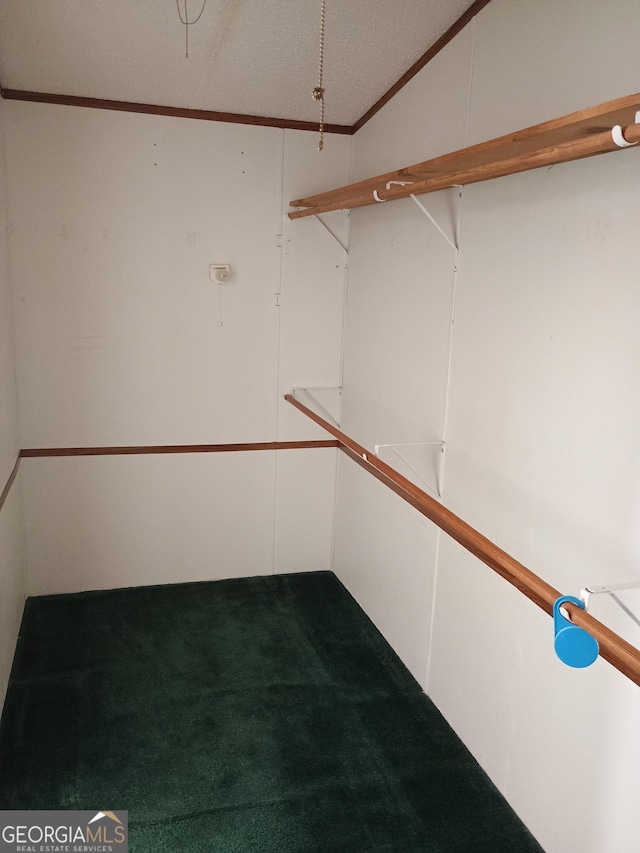 walk in closet featuring carpet floors and vaulted ceiling