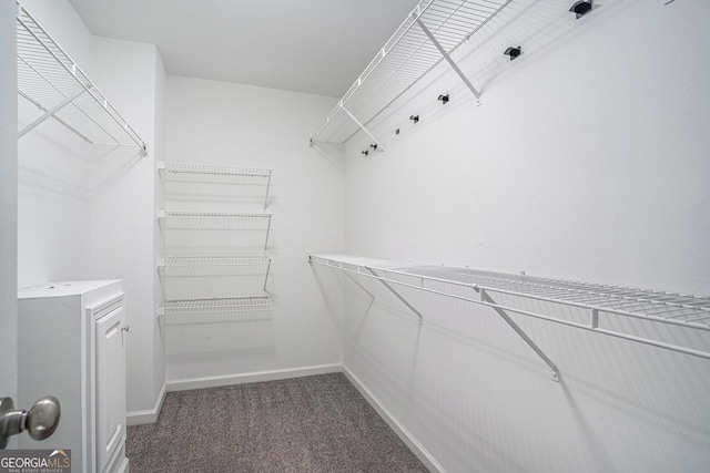 walk in closet with carpet flooring