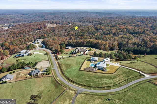 2055 Henry Scott Rd, Ball Ground, GA 30107